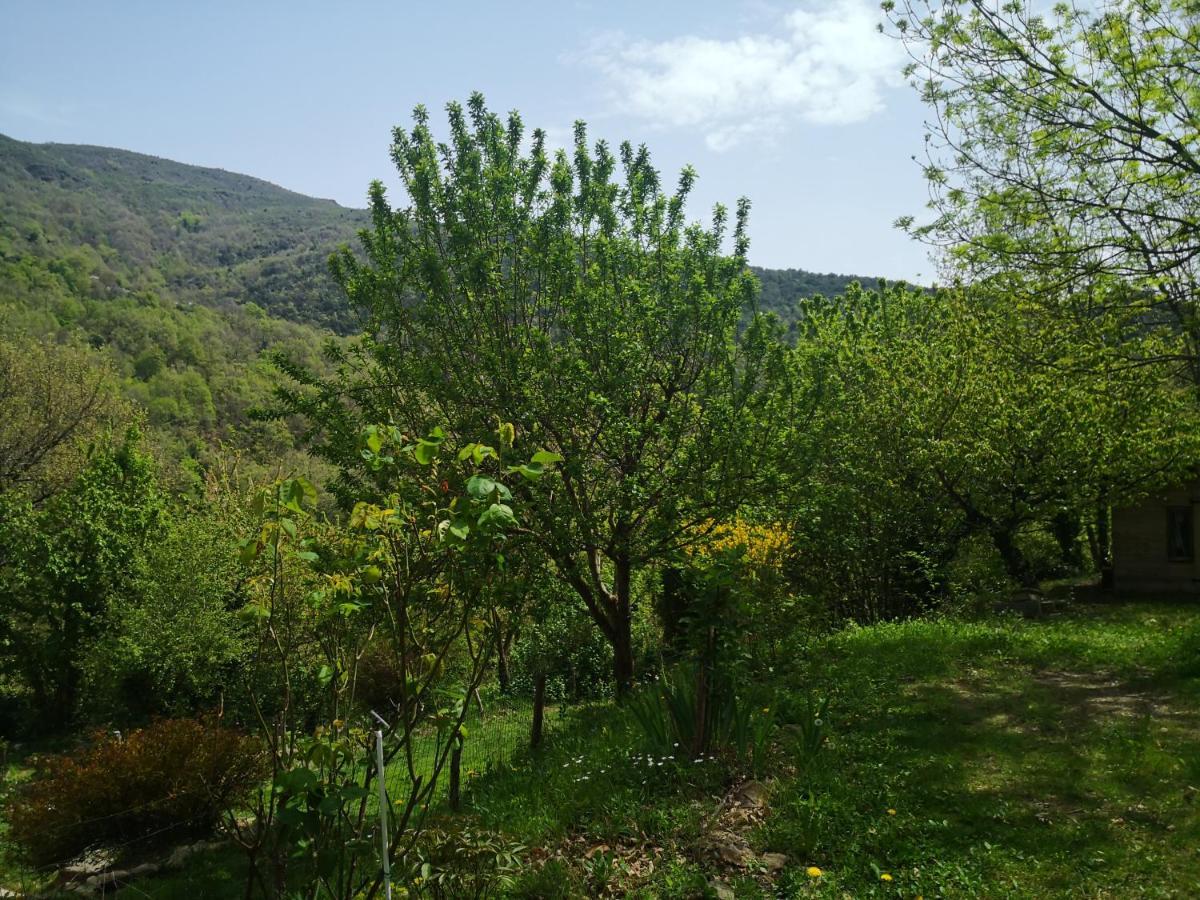 Font-Fresca Location Villa Baillestavy Екстериор снимка